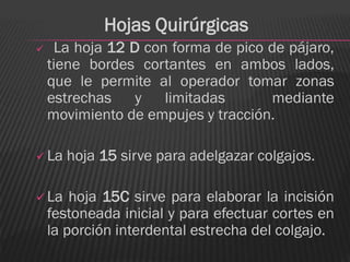 Hojas Quirúrgicas
    La hoja 12 D con forma de pico de pájaro,
    tiene bordes cortantes en ambos lados,
    que le permite al operador tomar zonas
    estrechas    y   limitadas      mediante
    movimiento de empujes y tracción.

 La   hoja 15 sirve para adelgazar colgajos.

 La    hoja 15C sirve para elaborar la incisión
    festoneada inicial y para efectuar cortes en
    la porción interdental estrecha del colgajo.
 