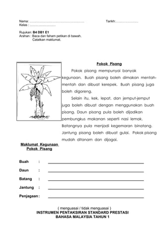 Nama: ……………………………………………                             Tarikh:…………………
Kelas : ……………………

Rujukan: B4 DB1 E1
Arahan : Baca dan faham petikan di bawah.
         Catatkan maklumat.




                                               Pokok Pisang
                                  Pokok pisang mempunyai banyak
                            kegunaan. Buah pisang boleh dimakan mentah-
                            mentah dan dibuat kerepek. Buah pisang juga
                            boleh digoreng.
                                  Selain itu, kek, lepat, dan jemput-jemput
                            juga boleh dibuat dengan menggunakan buah
                            pisang. Daun pisang pula boleh dijadikan
                            pembungkus makanan seperti nasi lemak.
                            Batangnya pula menjadi kegemaran binatang.
                            Jantung pisang boleh dibuat gulai. Pokok pisang
                            mudah ditanam dan dijagai.
Maklumat Kegunaan
  Pokok Pisang


Buah        :      ______________________________________________

Daun        :      ______________________________________________

Batang      :      ______________________________________________

Jantung     :      ______________________________________________

Penjagaan :        ______________________________________________


                    ( menguasai / tidak menguasai )
           INSTRUMEN PENTAKSIRAN STANDARD PRESTASI
                   BAHASA MALAYSIA TAHUN 1
 