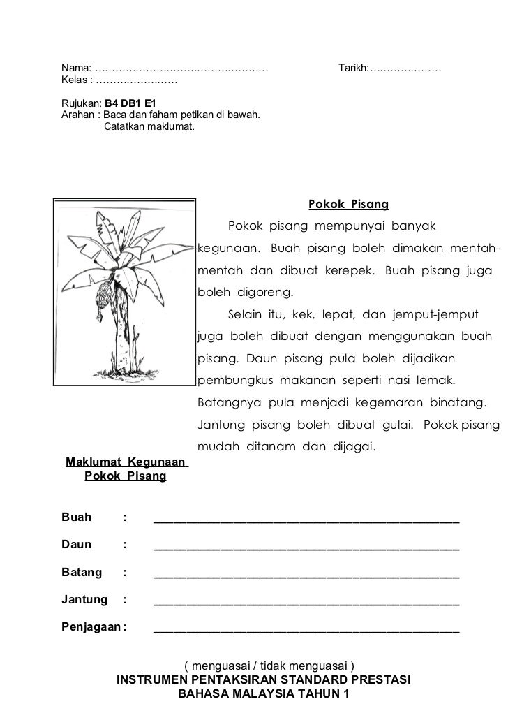 Instrumen bm