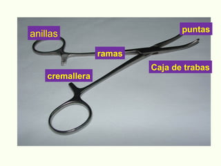 anillas Caja de trabas cremallera ramas puntas 