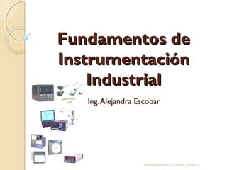 Fundamentos de
Instrumentación
    Industrial
   Ing. Alejandra Escobar




                    Instrumentación y Control. Unidad I
 