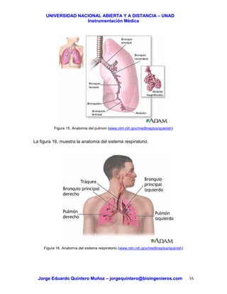 UUNNIIVVEERRSSIIDDAADD NNAACCIIOONNAALL AABBIIEERRTTAA YY AA DDIISSTTAANNCCIIAA –– UUNNAADD
IInnssttrruummeennttaacciióónn MMééddiiccaa
JJoorrggee EEdduuaarrddoo QQuuiinntteerroo MMuuññoozz –– jjoorrggeeqquuiinntteerroo@@bbiiooiinnggeenniieerrooss..ccoomm 16
Figura 15. Anatomia del pulmon (www.nlm.nih.gov/medlineplus/spanish)
La figura 16, muestra la anatomia del sistema respiratorio.
Figura 16. Anatomía del sistema respiratorio (www.nlm.nih.gov/medlineplus/spanish)
 