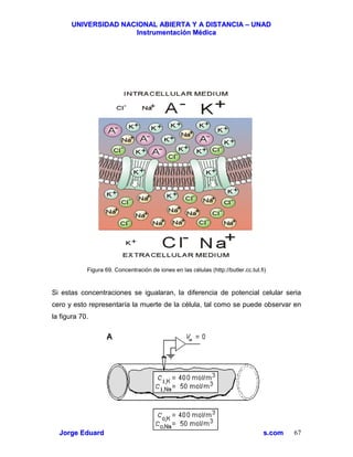 UUNNIIVVEERRSSIIDDAADD NNAACCIIOONNAALL AABBIIEERRTTAA YY AA DDIISSTTAANNCCIIAA –– UUNNAADD
IInnssttrruummeennttaacciióónn MMééddiiccaa
JJoorrggee EEdduuaarrddoo QQuuiinntteerroo MMuuññoozz –– jjoorrggeeqquuiinntteerroo@@bbiiooiinnggeenniieerrooss..ccoomm 67
Figura 69. Concentración de iones en las células (http://butler.cc.tut.fi)
Si estas concentraciones se igualaran, la diferencia de potencial celular seria
cero y esto representaría la muerte de la célula, tal como se puede observar en
la figura 70.
 