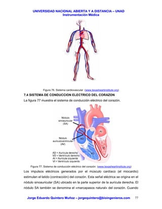 UUNNIIVVEERRSSIIDDAADD NNAACCIIOONNAALL AABBIIEERRTTAA YY AA DDIISSTTAANNCCIIAA –– UUNNAADD
IInnssttrruummeennttaacciióónn MMééddiiccaa
JJoorrggee EEdduuaarrddoo QQuuiinntteerroo MMuuññoozz –– jjoorrggeeqquuiinntteerroo@@bbiiooiinnggeenniieerrooss..ccoomm 77
Figura 76. Sistema cardiovascular (www.texasheartinstitute.org)
7.4 SISTEMA DE CONDUCCION ELECTRICO DEL CORAZON
La figura 77 muestra el sistema de conducción eléctrico del corazón.
Figura 77. Sistema de conducción eléctrico del corazón (www.texasheartinstitute.org)
Los impulsos eléctricos generados por el músculo cardíaco (el miocardio)
estimulan el latido (contracción) del corazón. Esta señal eléctrica se origina en el
nódulo sinoauricular (SA) ubicado en la parte superior de la aurícula derecha. El
nódulo SA también se denomina el «marcapasos natural» del corazón. Cuando
 