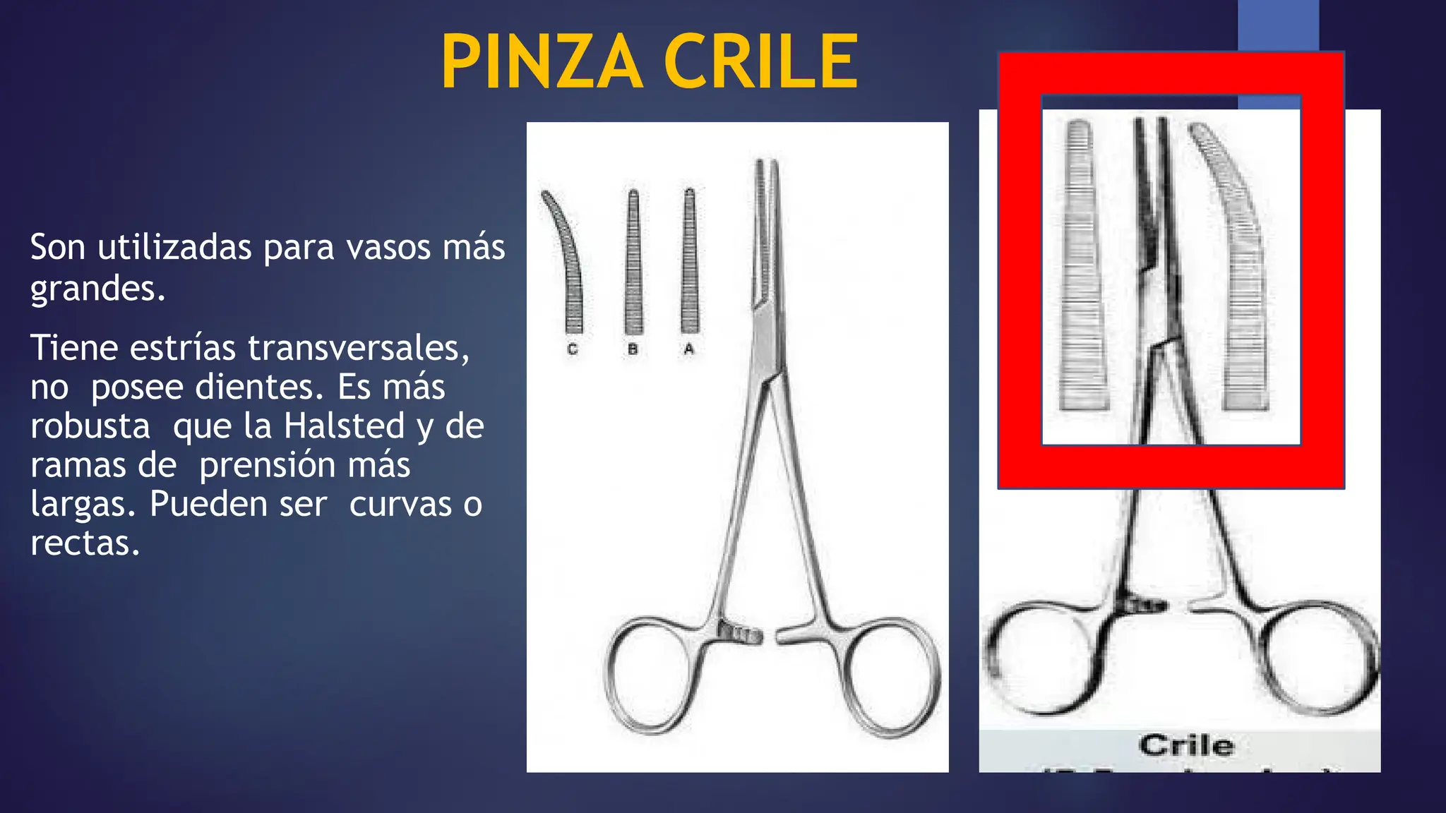 Pinza Rongeur Ortopédica Curva Rusa - Instrumento Quirúrgico Para Huesos, 6 Unidades, Nuevo En Paquete