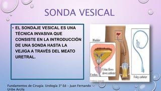 Instrumental Urologico Practico PPTX instrumental-urologico-practico-pptx