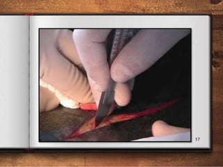 Comprehensive Guide to Surgical Instrumentation and Procedures | PPTX