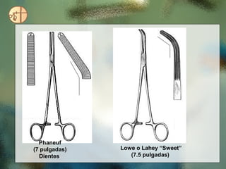 Phaneuf
(7 pulgadas)   Lowe o Lahey “Sweet”
  Dientes         (7.5 pulgadas)
 
