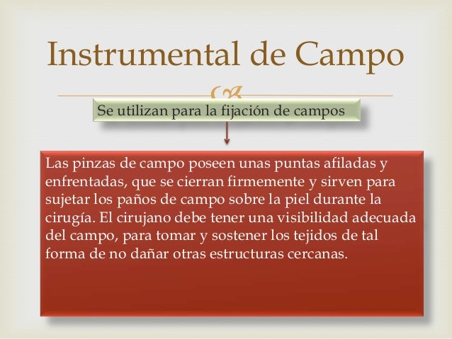 para que sirven las pinzas para que sirven las pinzas