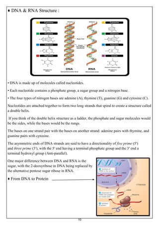 Molecular Theory and techniques and polymerase chain reaction | PDF