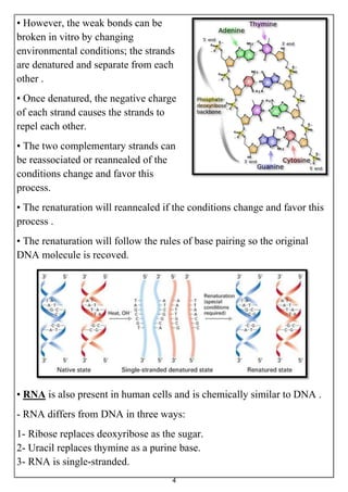 Molecular Theory and techniques and polymerase chain reaction | PDF