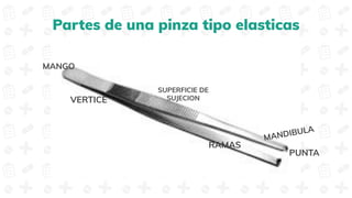 VERTICE
Partes de una pinza tipo elasticas
RAMAS
SUPERFICIE DE
SUJECION
PUNTA
MANGO
MANDIBULA
 