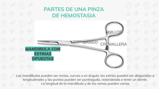 CREMALLERA
PARTES DE UNA PINZA
DE HEMOSTASIA
MANDIBULA CON
ESTRIAS
OPUESTAS
MANGO
ANILLOS
Las mandíbulas pueden ser rectas, curvas o en ángulo; las estrías pueden ser diagonales o
longitudinales y las puntas pueden ser puntiaguda, redondeada o tener un diente.
La longitud de la mandíbula y de las ramas pueden varias
 