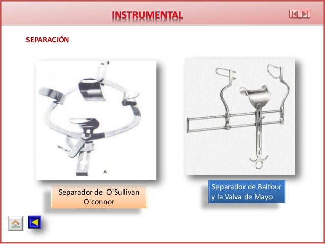 Instrumental basico y especializado