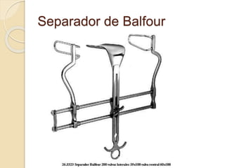 Separador de Balfour
 