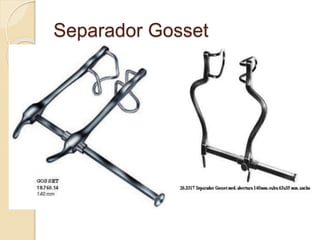 Separador Gosset
 