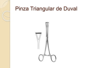 Pinza Triangular de Duval
 