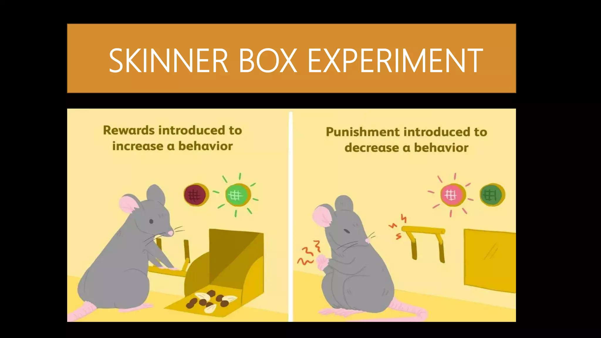 instrumental-learning-theory-ppt