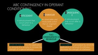 Instrumental Learning Theory | PPTX