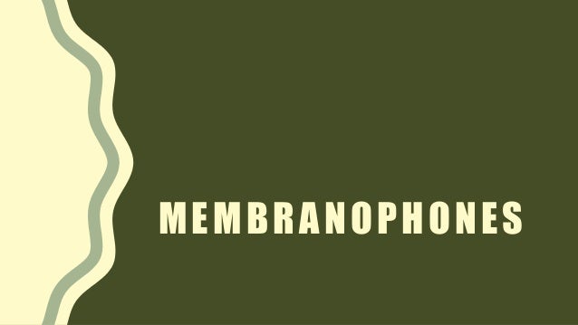 MEMBRANOPHONES
 