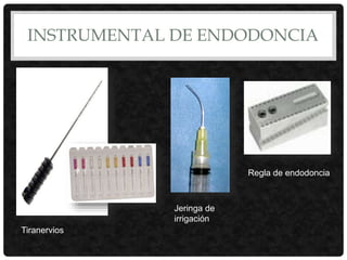 INSTRUMENTAL DE ENDODONCIA
Tiranervios
Jeringa de
irrigación
Regla de endodoncia
 
