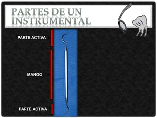 PARTE ACTIVA
PARTE ACTIVA
MANGO
 