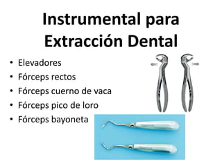 Instrumental para
Extracción Dental
• Elevadores
• Fórceps rectos
• Fórceps cuerno de vaca
• Fórceps pico de loro
• Fórceps bayoneta
 
