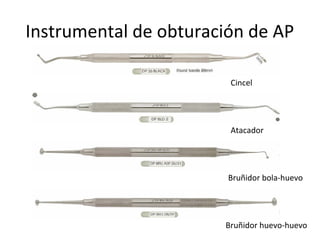 Instrumental de obturación de AP
Cincel
Atacador
Bruñidor bola-huevo
Bruñidor huevo-huevo
 