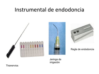 Instrumental de endodoncia
Tiranervios
Jeringa de
irrigación
Regla de endodoncia
 