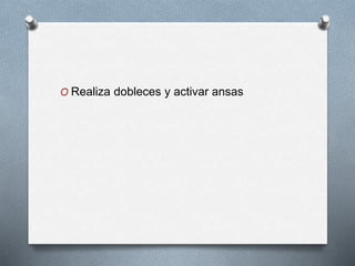 O Realiza dobleces y activar ansas
 