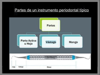 Partes de un instrumento periodontal típico
 