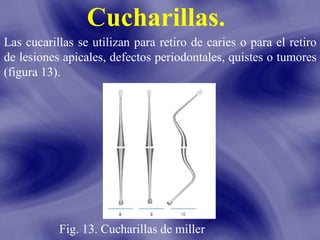 Cucharillas.
Las cucarillas se utilizan para retiro de caries o para el retiro
de lesiones apicales, defectos periodontales, quistes o tumores
(figura 13).

Fig. 13. Cucharillas de miller

 