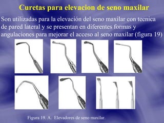 Curetas para elevacion de seno maxilar
Son utilizadas para la elevación del seno maxilar con tecnica
de pared lateral y se presentan en diferentes formas y
angulaciones para mejorar el acceso al seno maxilar (figura 19)

Figura 19. A. Elevadores de seno maxilar.

 
