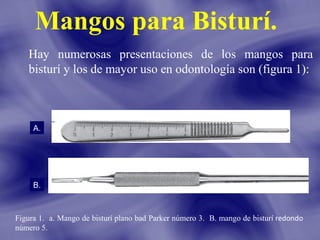Mangos para Bisturí.
Hay numerosas presentaciones de los mangos para
bisturí y los de mayor uso en odontología son (figura 1):

A.

B.

Figura 1. a. Mango de bisturí plano bad Parker número 3. B. mango de bisturí redondo
número 5.

 
