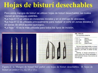 Hojas de bisturí desechables
Para estos mangos de bisturí se utilizan hojas de bisturí desechables las cuales
Vienen en empaques estériles.
La hoja # 11 se utiliza en incisiones iniciales y en el drenaje de abscesos.
La hoja # 12 es utilizada principalmente para realizar el corte en zonas distales o
en zonas de difícil acceso quirúrgico.
La hoja “ 15 es la mas utilizada para todos los tipos de incisión.

Figura 2. a. Mangos de bisturí bad parker con hojas de bisturí desechables. B. hojas de
bisturí en orden # 11, 12, 15 y 15 c.

 
