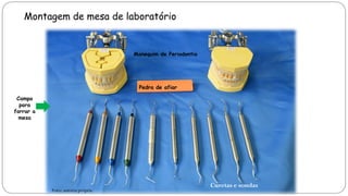 Montagem de mesa de laboratório
Pedra de afiar
Manequim de Periodontia
Curetas e sondas
Campo
para
forrar a
mesa
Foto: autoria própria
 