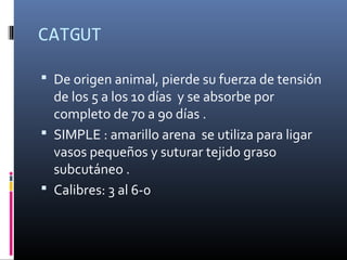 CATGUT
 De origen animal, pierde su fuerza de tensión
de los 5 a los 10 días y se absorbe por
completo de 70 a 90 días .
 SIMPLE : amarillo arena se utiliza para ligar
vasos pequeños y suturar tejido graso
subcutáneo .
 Calibres: 3 al 6-0
 