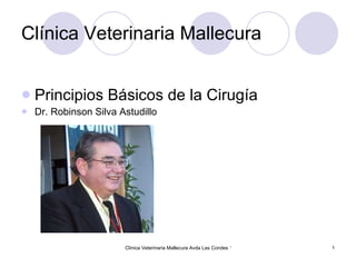 Clínica Veterinaria Mallecura ,[object Object],[object Object]