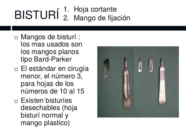 Cual Es La Funcion Del Bisturi