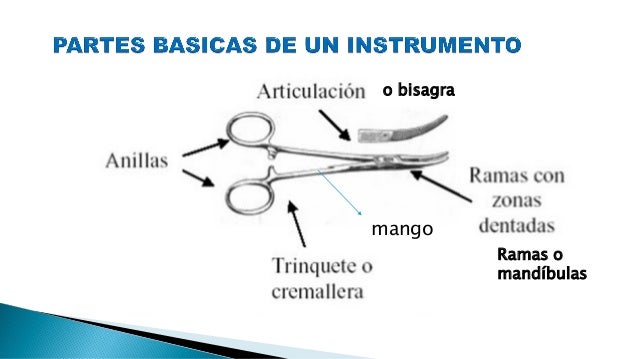 Resultado de imagen para partes de instrumental quirurgico