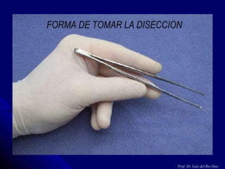 instrumental quirurgico basico.pptx