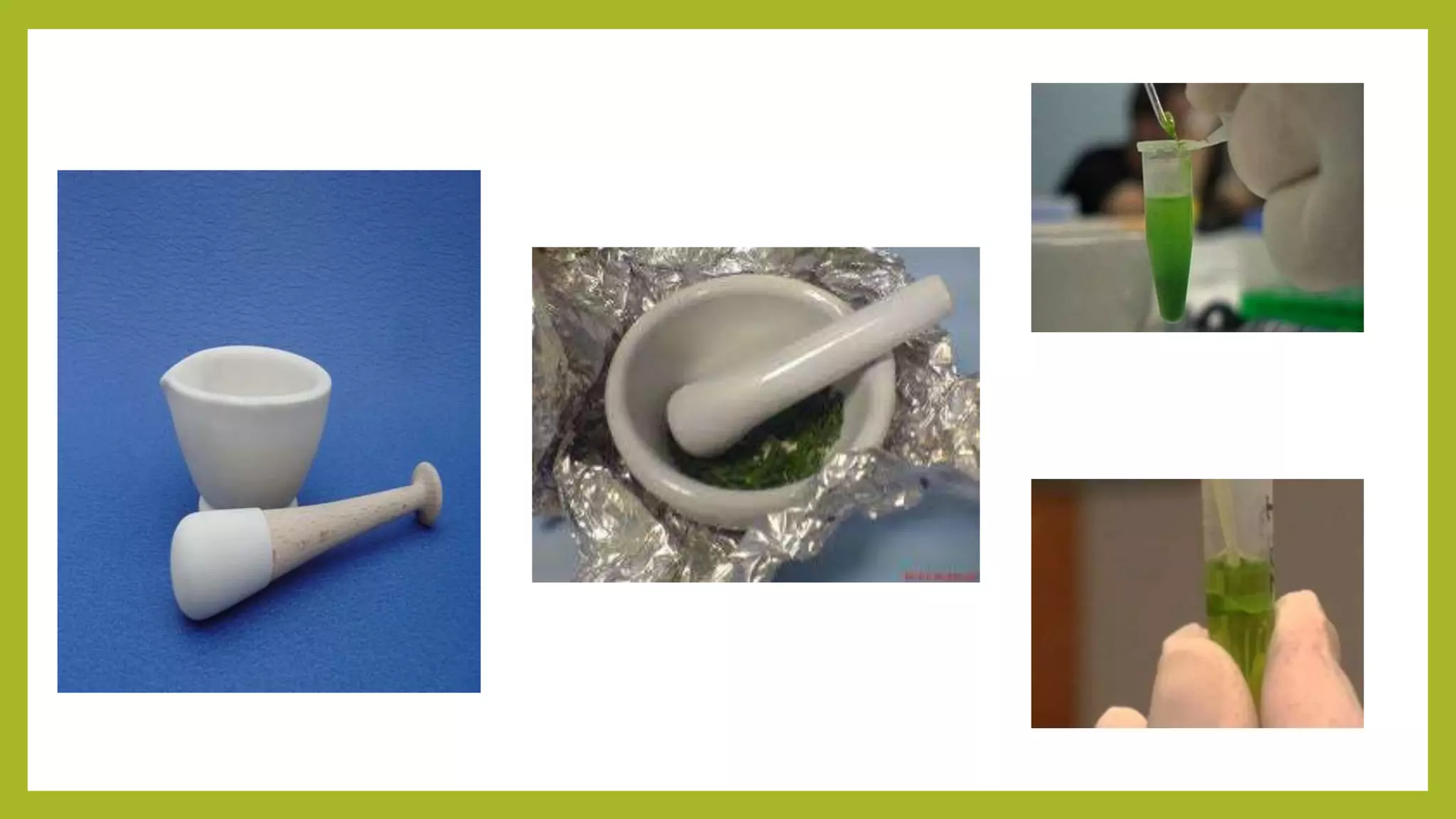 Instrumentation in biotechnology lab | PPTX