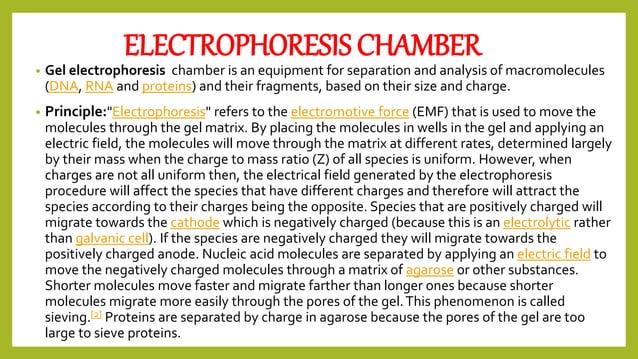 Instrumentation in biotechnology lab | PPTX | Chemistry | Science
