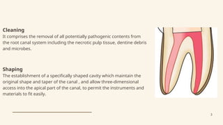 Instrumentation of root canal system ppt | PPTX