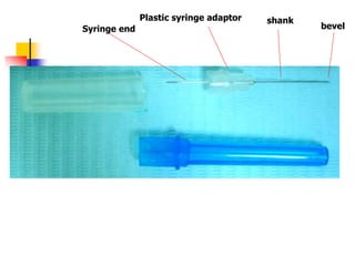 bevel
shankPlastic syringe adaptor
Syringe end
 