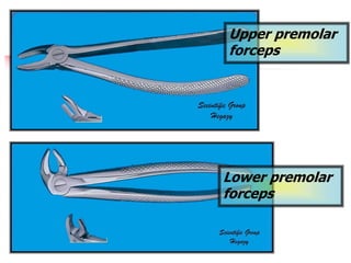 Upper premolar
forceps
Lower premolar
forceps
 