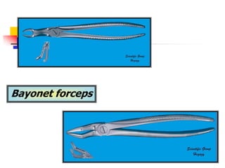Bayonet forceps
 
