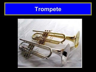 Trompete
 