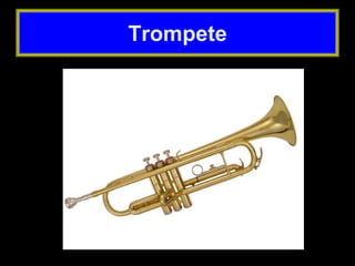 Trompete
 