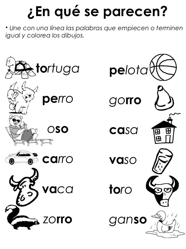 Instrumento primero